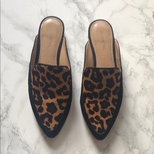 Gunmetal Carlen Leopard Mule Size 7.5